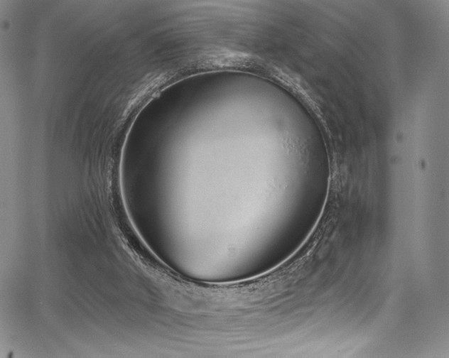 X0000068310010200604211216