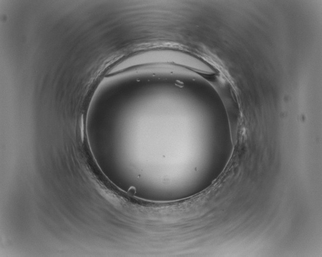 X0000068310013200604211216