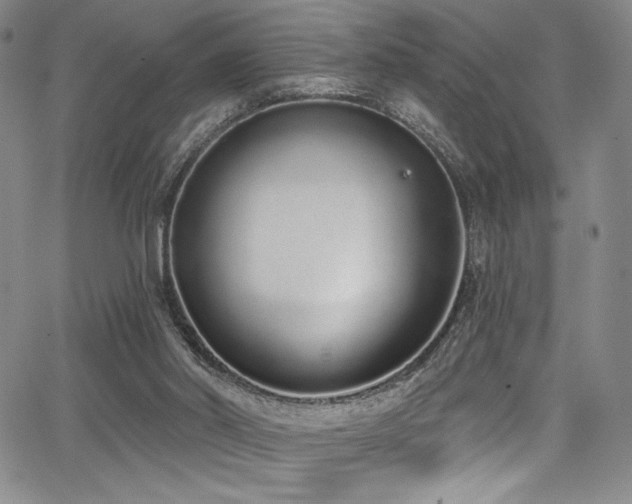 X0000068310014200604211216