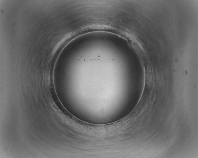 X0000068310015200604211216