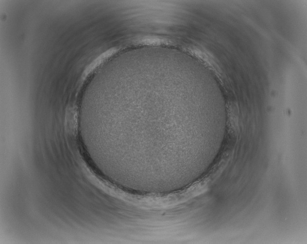 X0000068310016200604211216