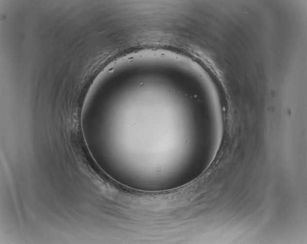 X0000068310017200604211216