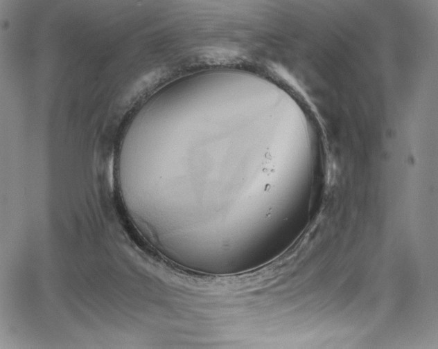 X0000068310019200604211216