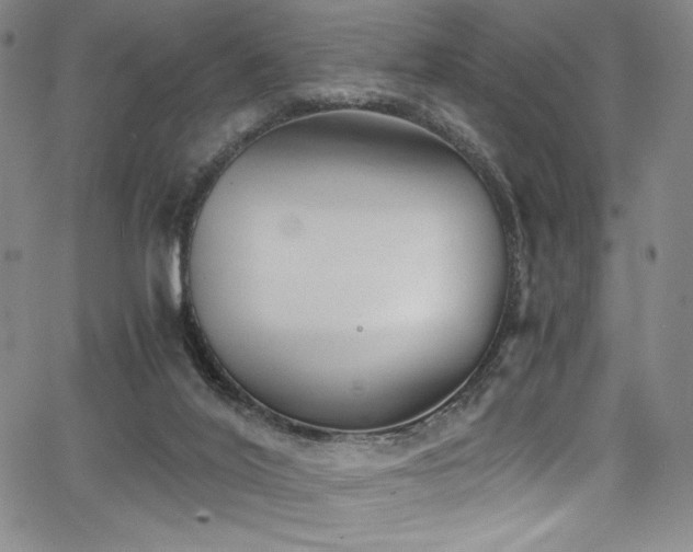 X0000068310020200604211216