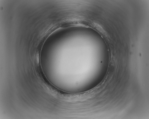 X0000068310021200604211216