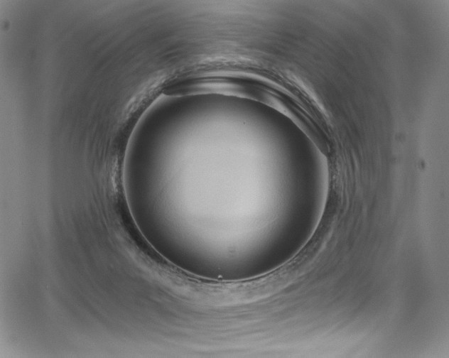 X0000068310023200604211215