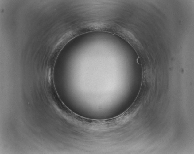 X0000068310024200604211215