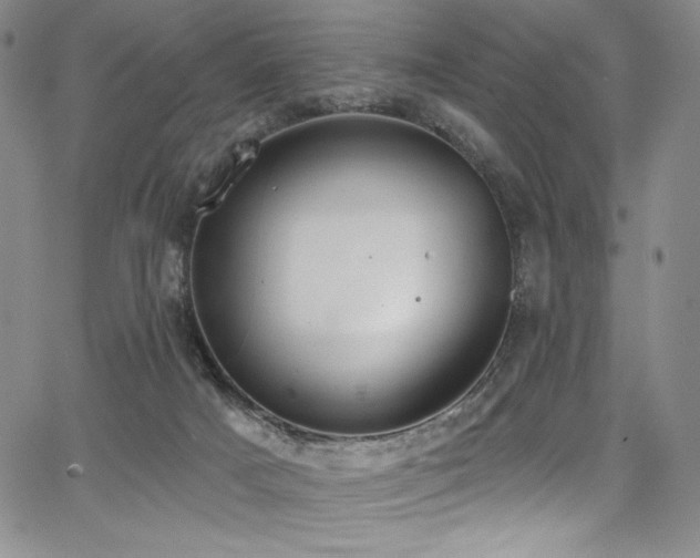 X0000068310025200604211215