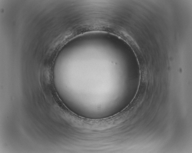 X0000068310026200604211215