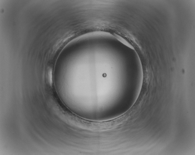 X0000068310027200604211215