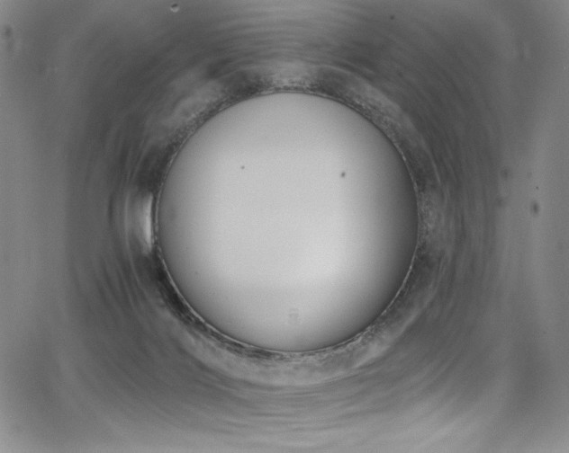 X0000068310028200604211215