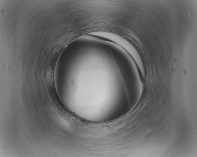 X0000068310029200604211215