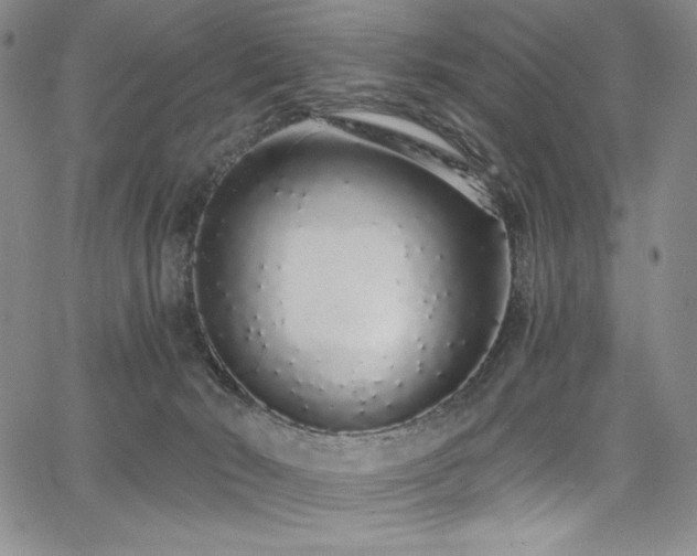 X0000068310030200604211215