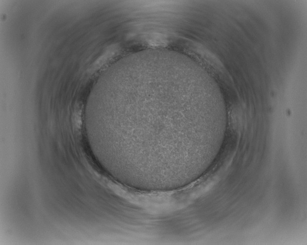 X0000068310032200604211215