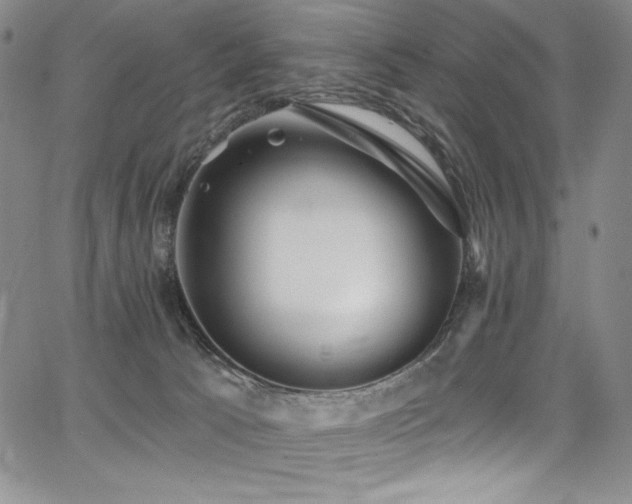 X0000068310033200604211215