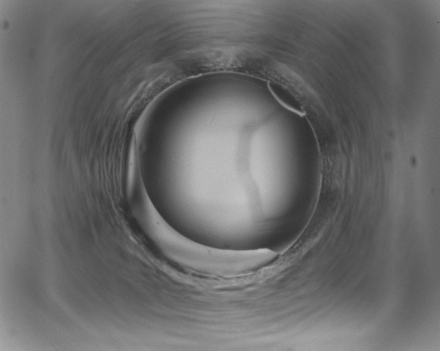 X0000068310035200604211215