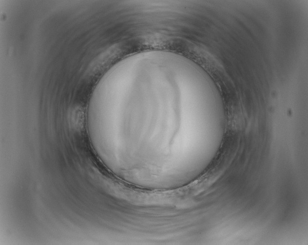 X0000068310036200604211215