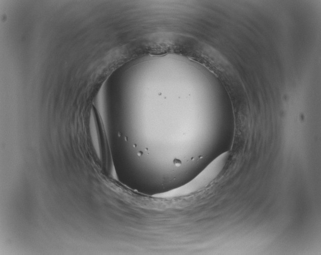 X0000068310037200604211215