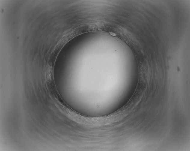 X0000068310038200604211215