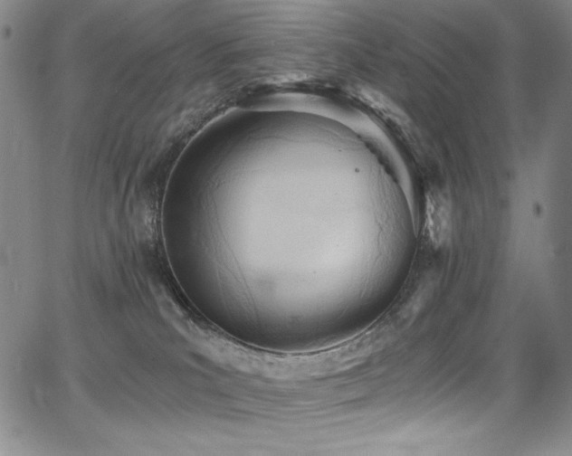 X0000068310039200604211215