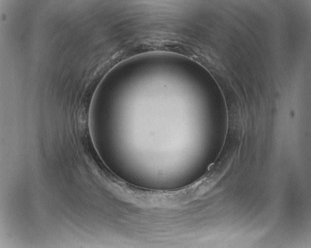 X0000068310040200604211215