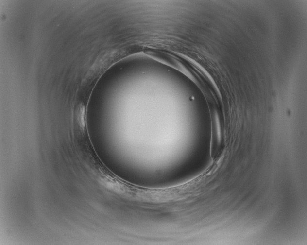 X0000068310041200604211215