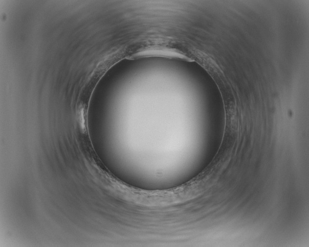 X0000068310042200604211215