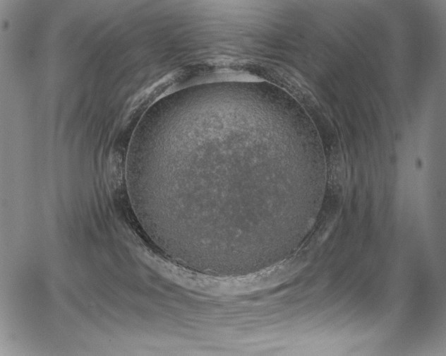 X0000068310043200604211215