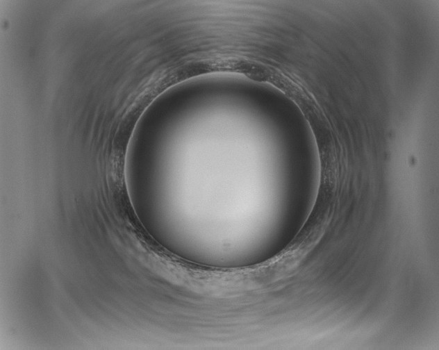 X0000068310044200604211215