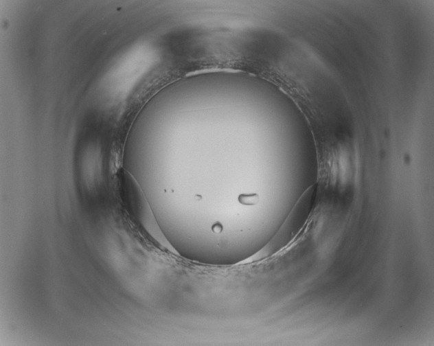 X0000068310045200604211215