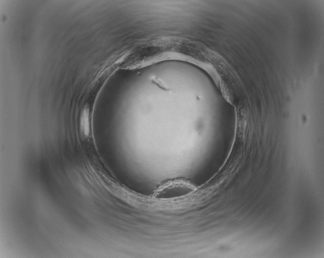 X0000068310046200604211215