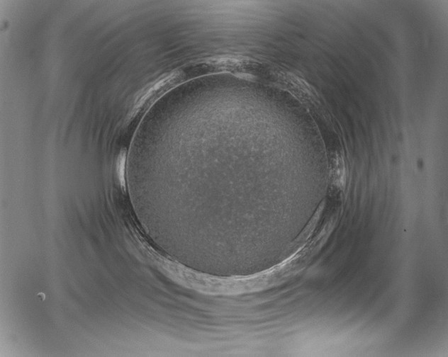 X0000068310047200604211215