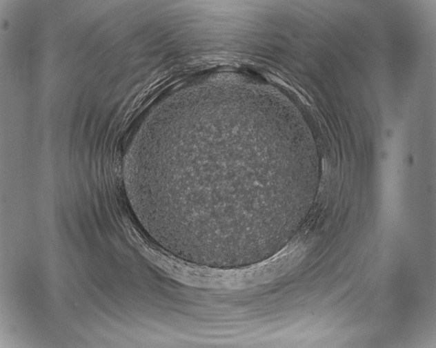 X0000068310048200604211215