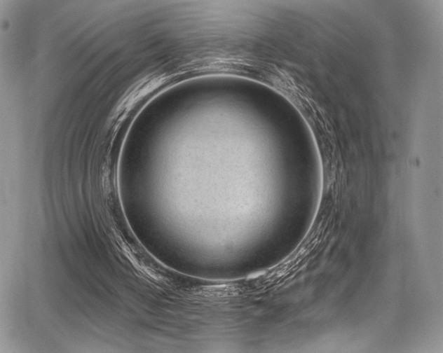 X0000068310050200604211214