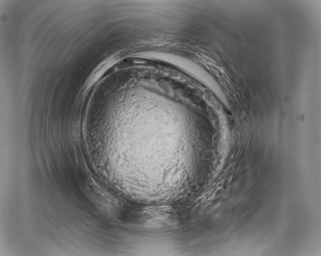 X0000068310051200604211214