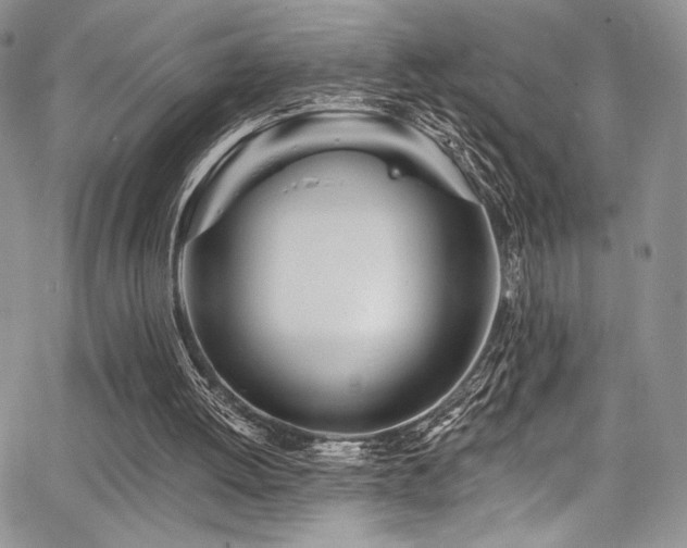 X0000068310052200604211214