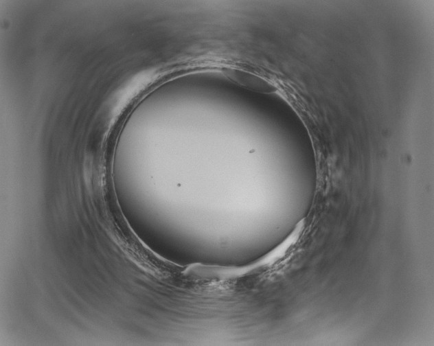 X0000068310056200604211214