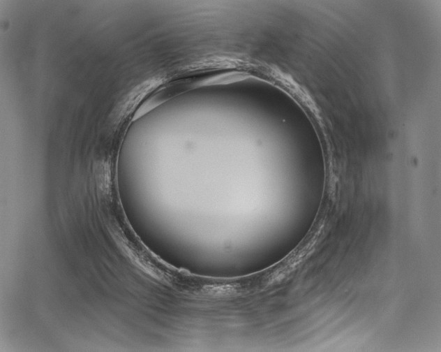 X0000068310057200604211214