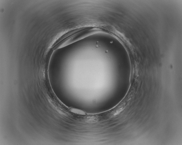 X0000068310060200604211214