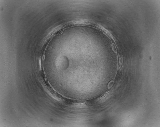 X0000068310061200604211214