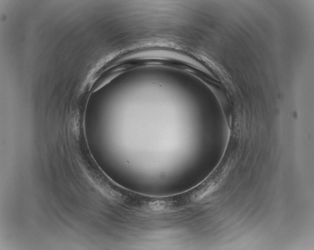 X0000068310064200604211214