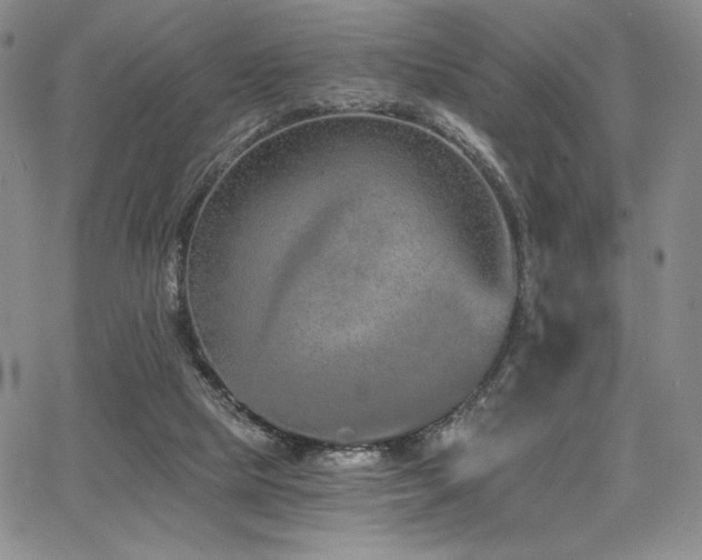 X0000068310065200604211215