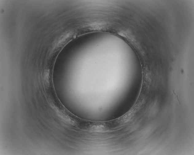 X0000068310066200604211215