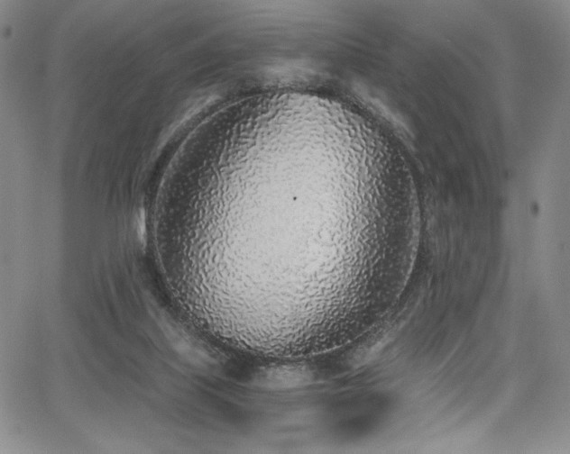 X0000068310067200604211215