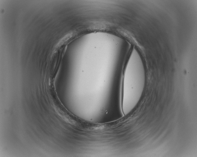 X0000068310068200604211215