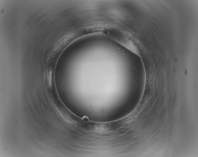 X0000068310070200604211215