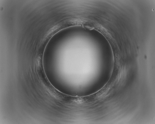 X0000068310071200604211215