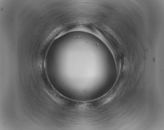 X0000068310072200604211215