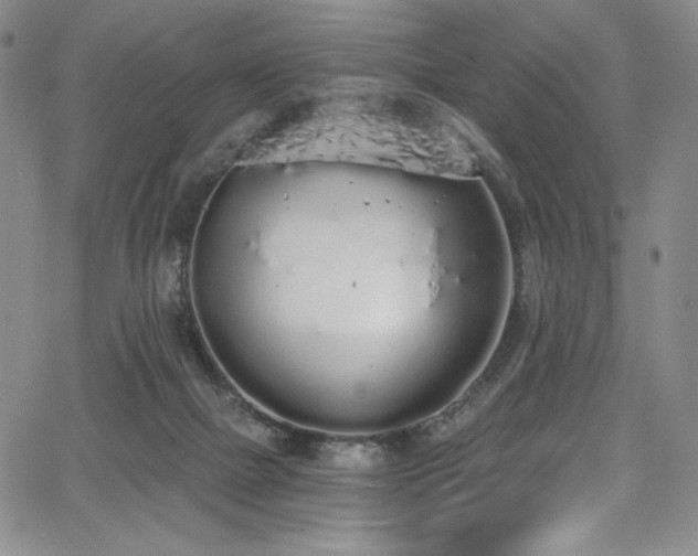 X0000068310073200604211215