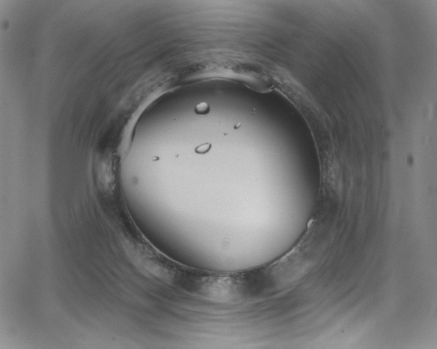 X0000068310074200604211215